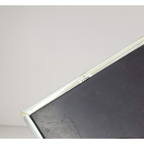 Aids Project Los Angeles Phallic Cactus Magnet Kitchen Fridge Provocative - Picture 6 of 6